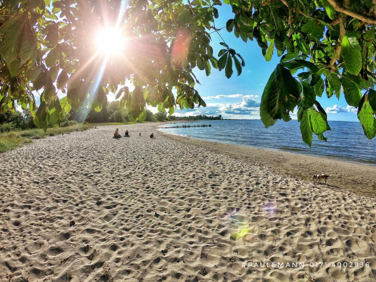 Kuestenurlaub * Ueckermunde